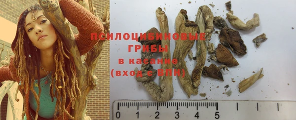прущий лед Арсеньев
