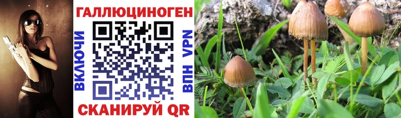 Галлюциногенные грибы MAGIC MUSHROOMS  площадка как зайти  Феодосия 